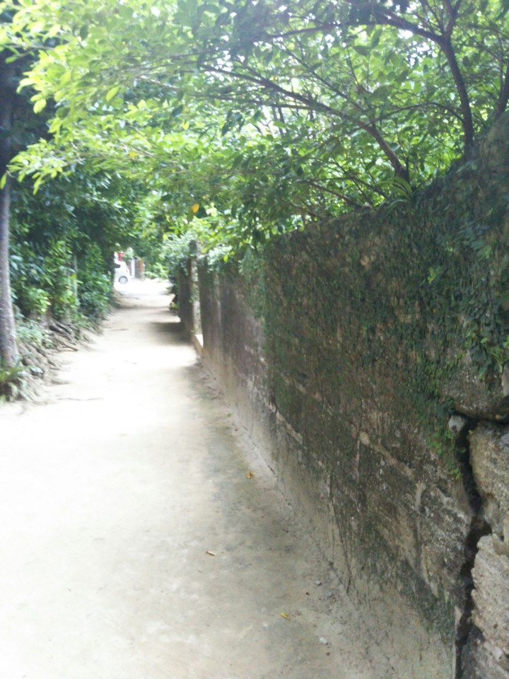 道