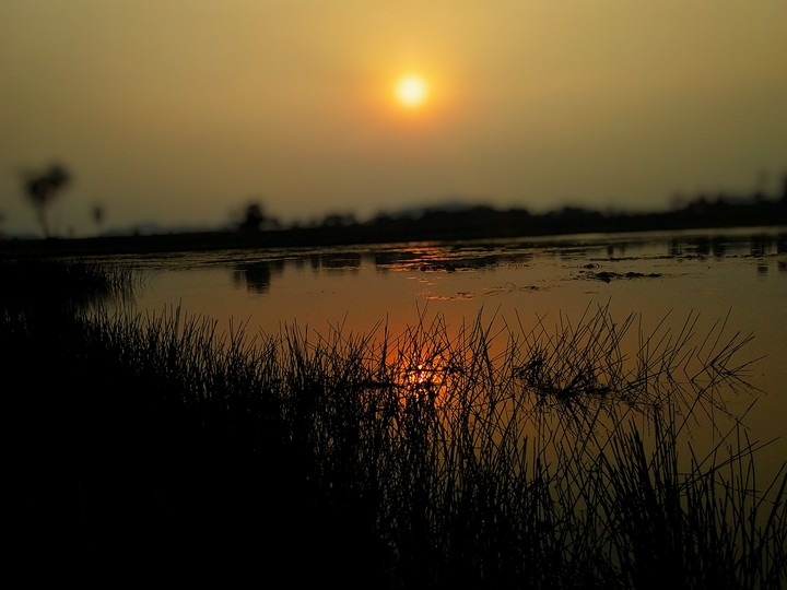 sun set