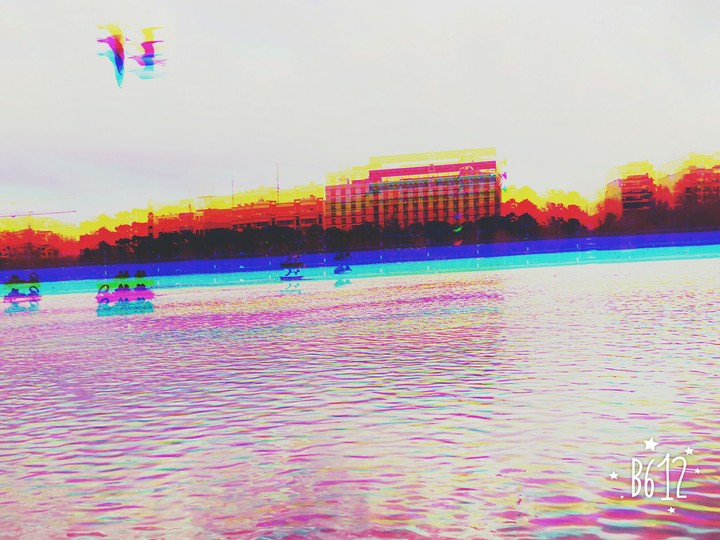 y
