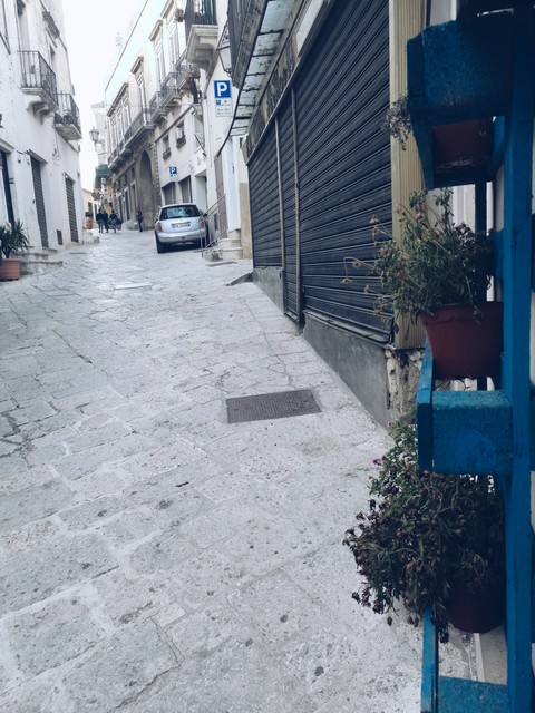Blu