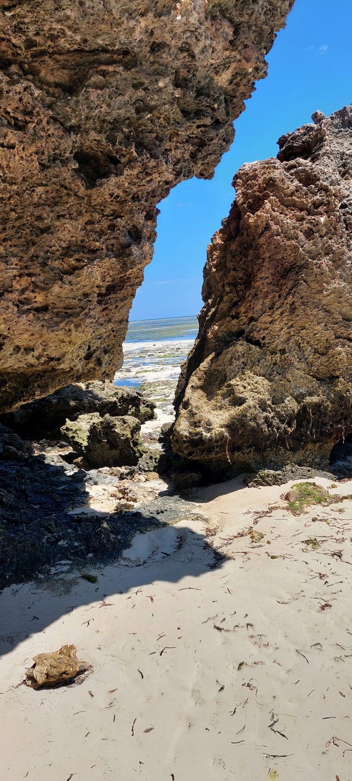 beach day