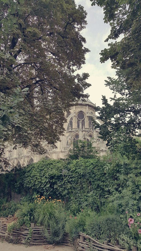 Dream of NotreDame