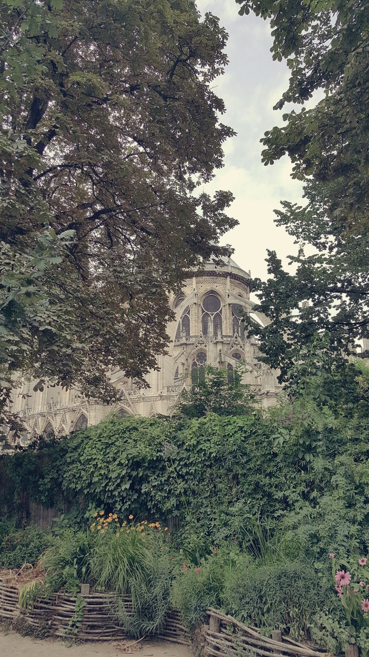 Dream of NotreDame