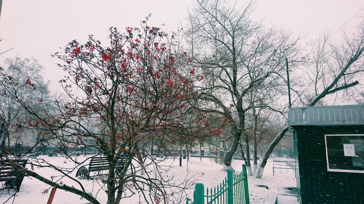 WinterCameEarlier