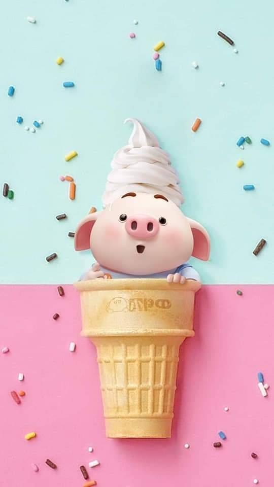 pig