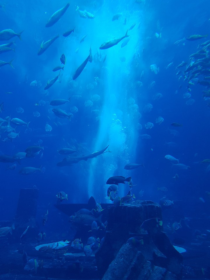 Aquarium