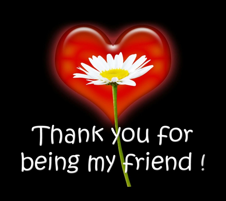 To all my friends