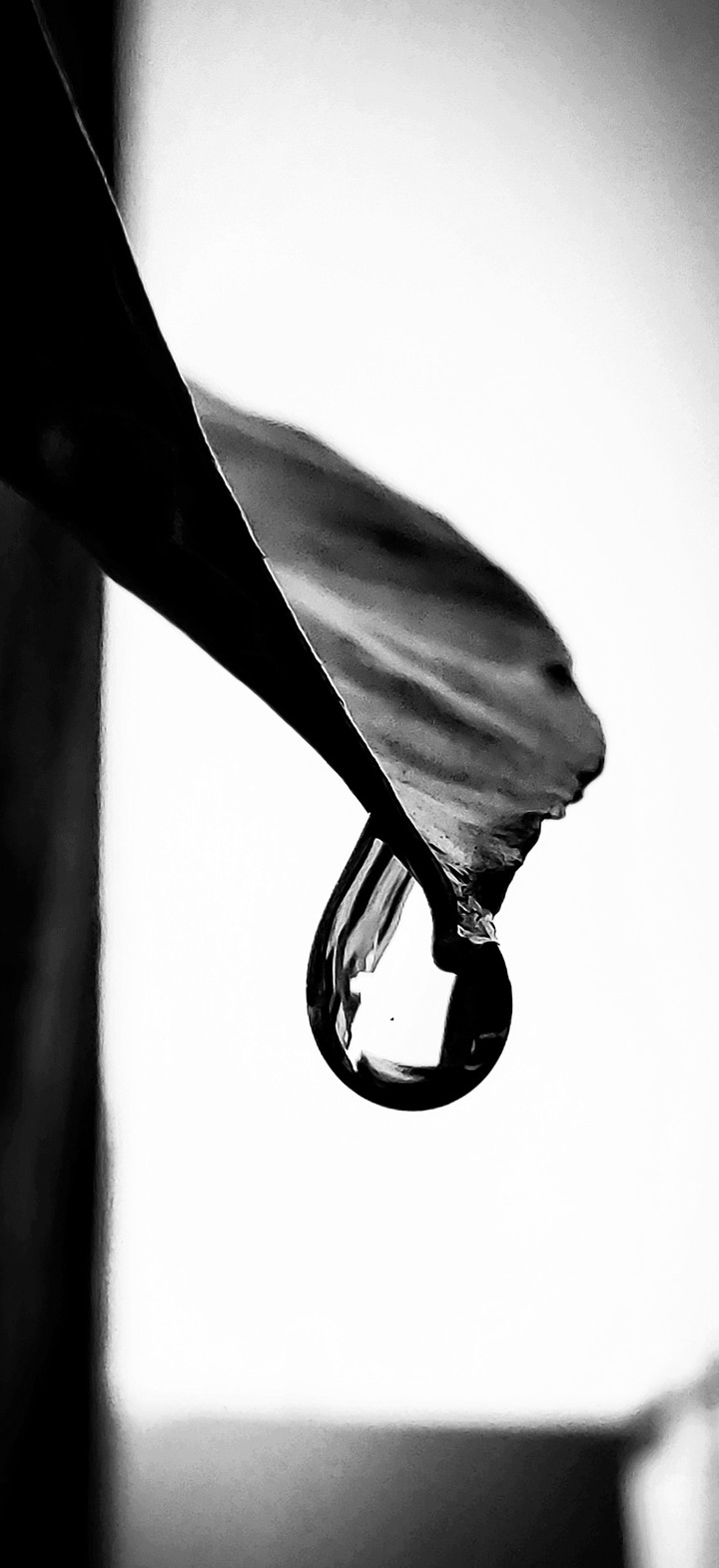 Droplet