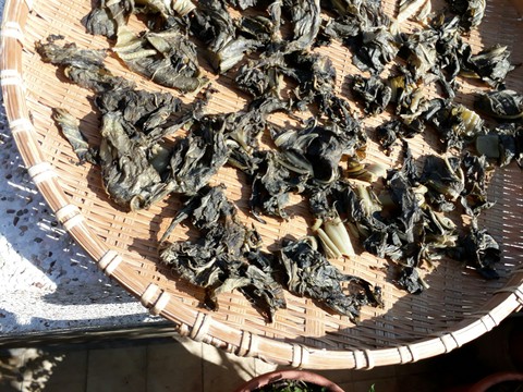 pickles 曬鹹菜