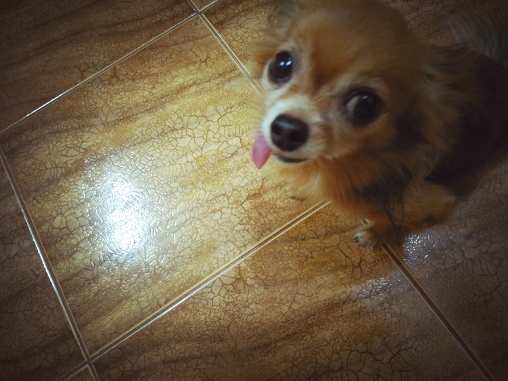 Rocky
