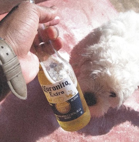 обои mu, alcohol