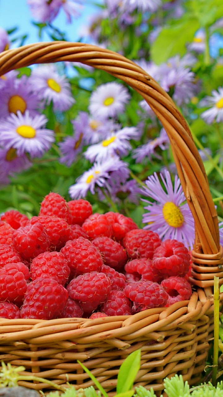 Strawberry & Flower
