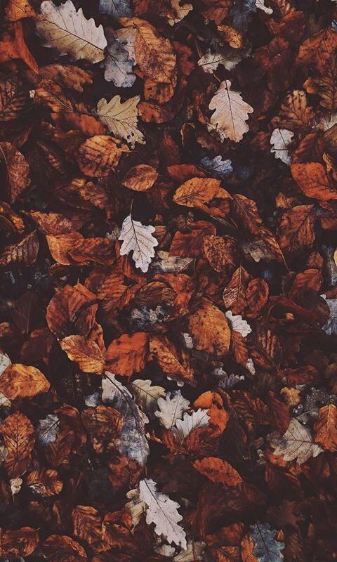 autumn