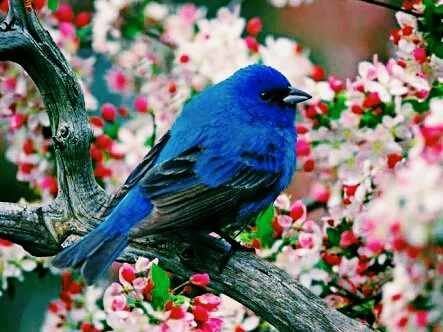 wow what a color