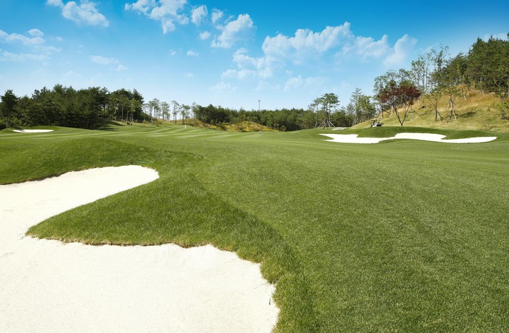 Golf Course
