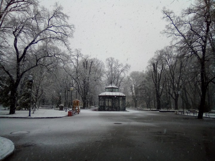 snow
