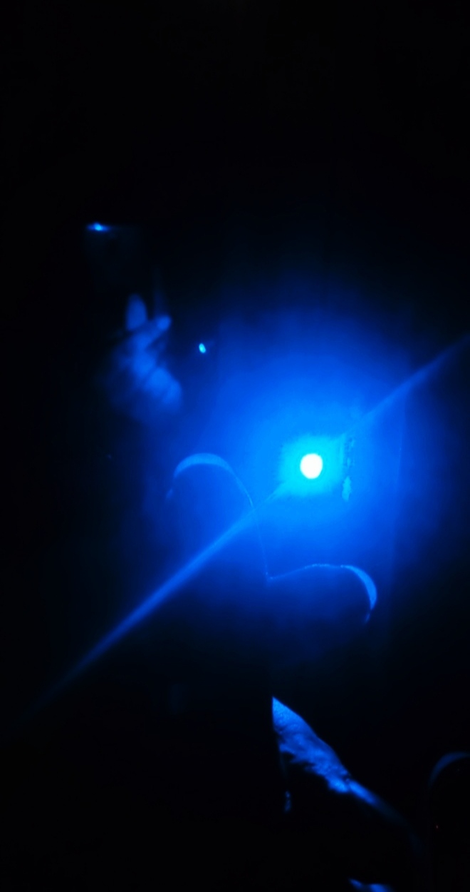 backlight