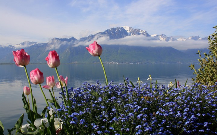 Nature's Beauty