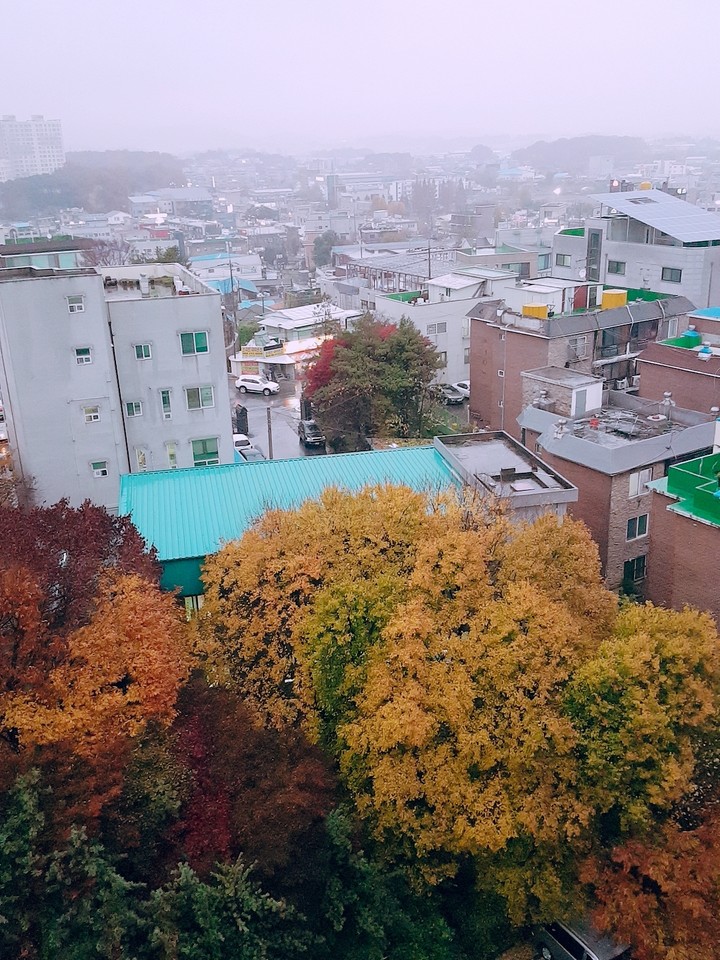 가을