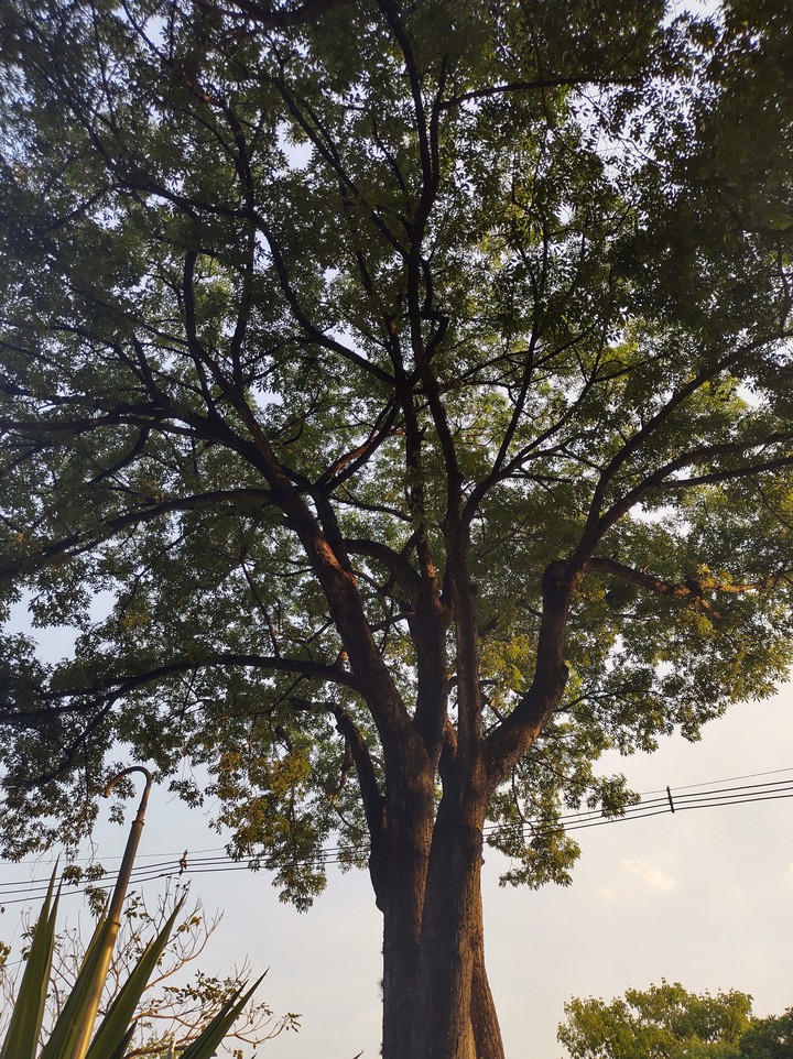 praça Milton Campos Betim MG