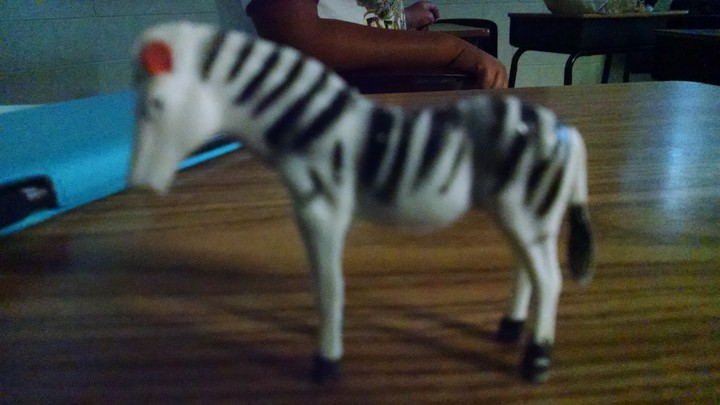 A Zebra (toy)