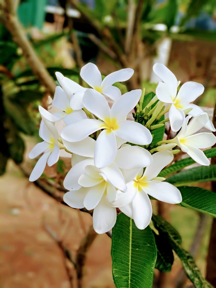 #Flowerslove