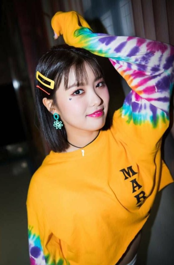 Ahin_momoland
