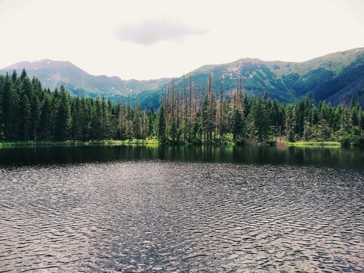 Lake