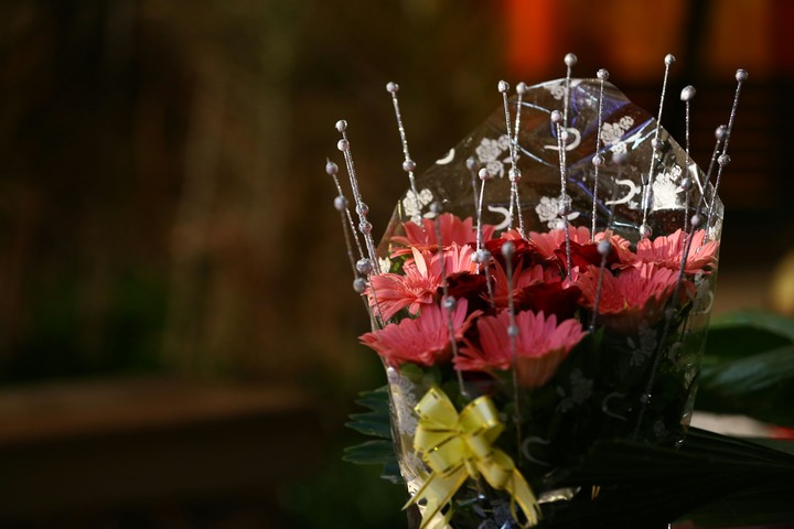 Flowers...