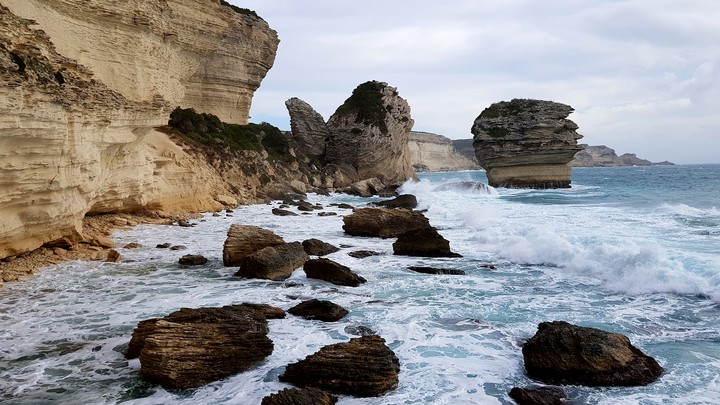 Bonifacio