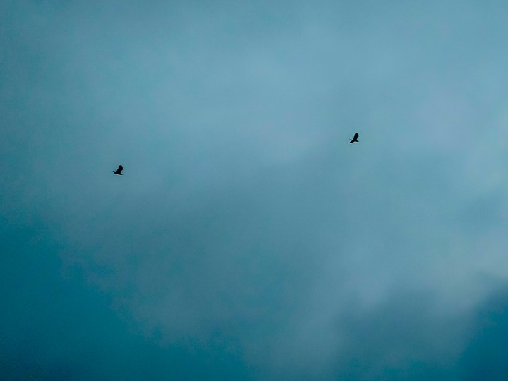 The Unfathomable flights !