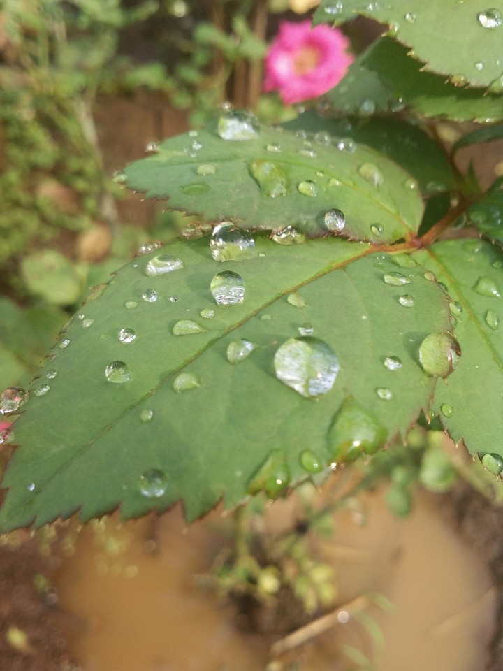 raining