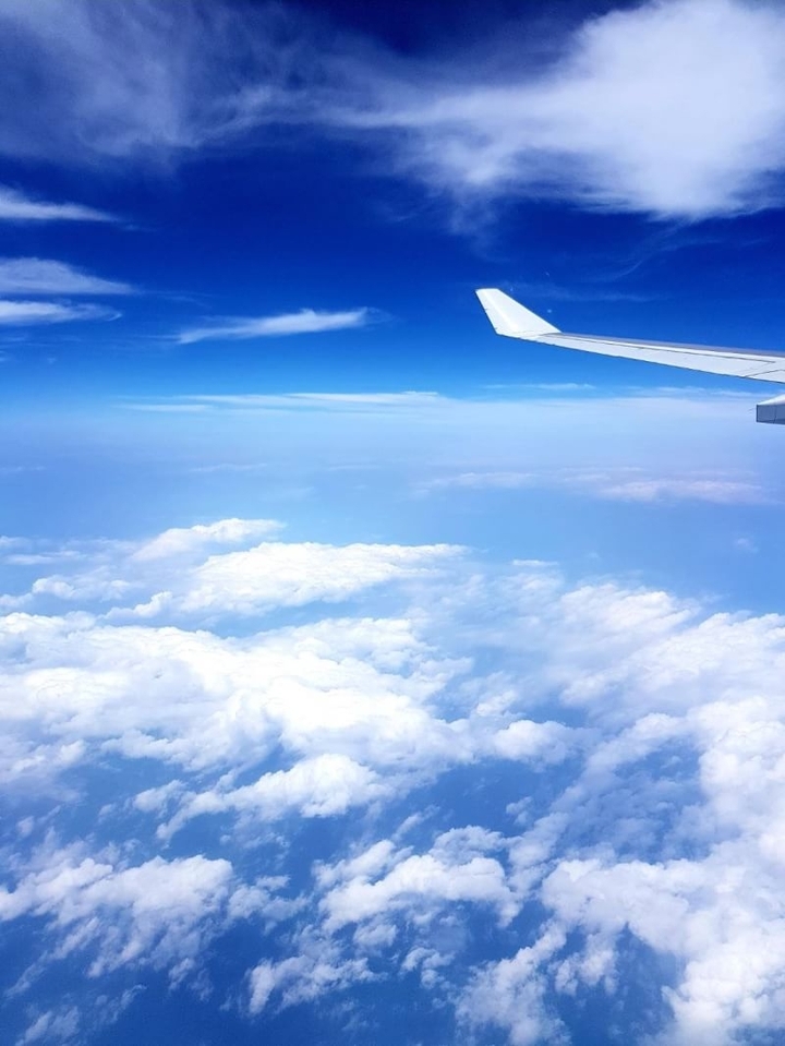 wing