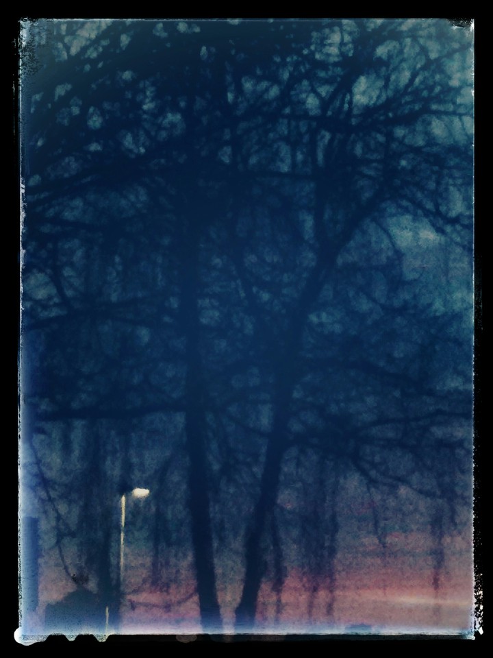 Black Forest