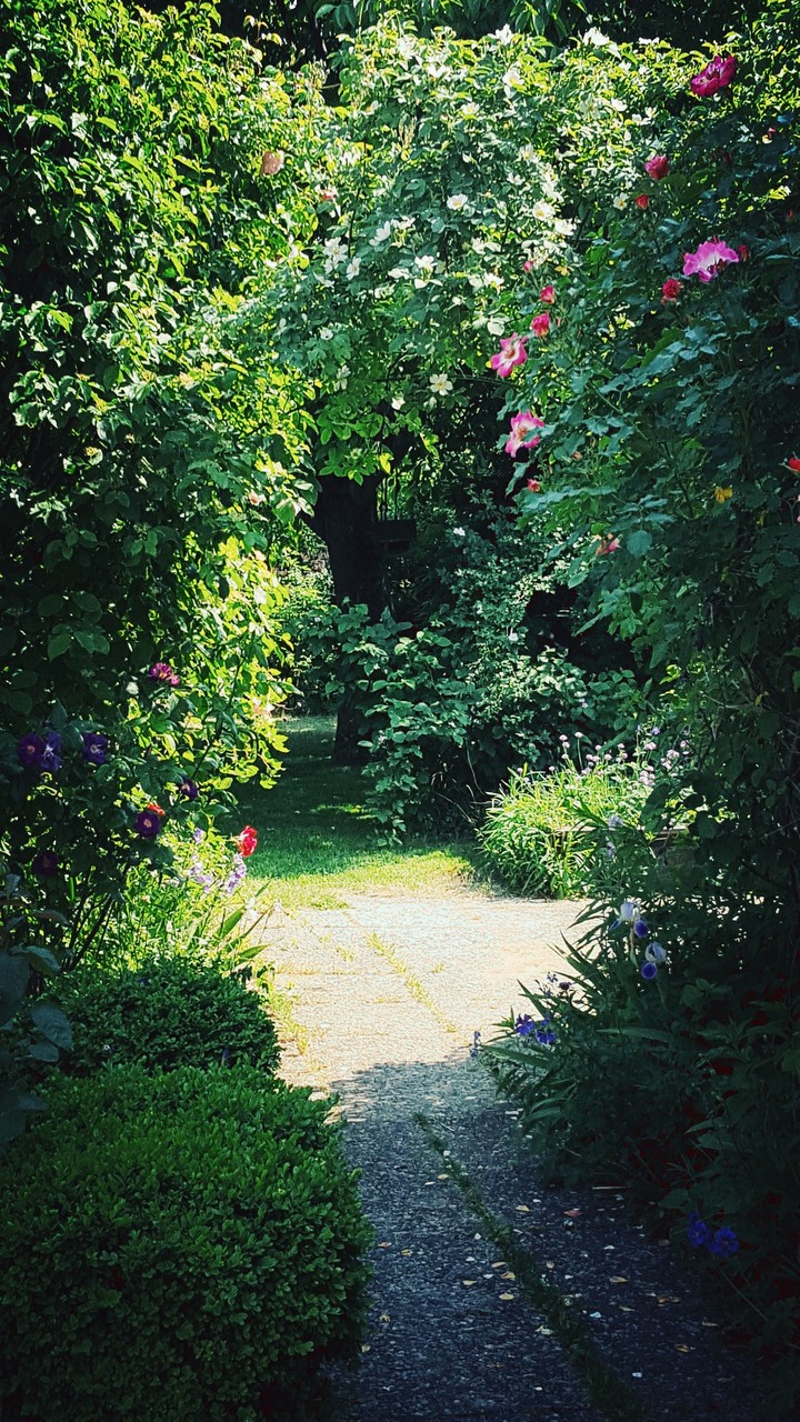 Blättertor zum Garten
