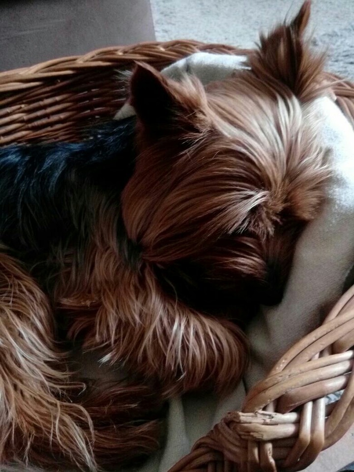 Titou
