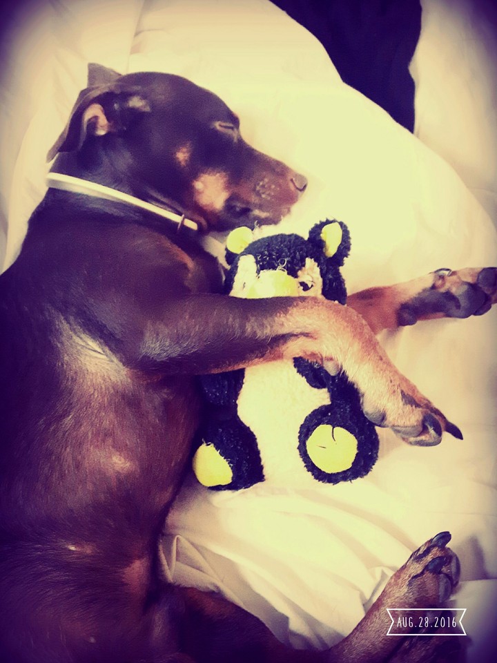 Sweet dreams
