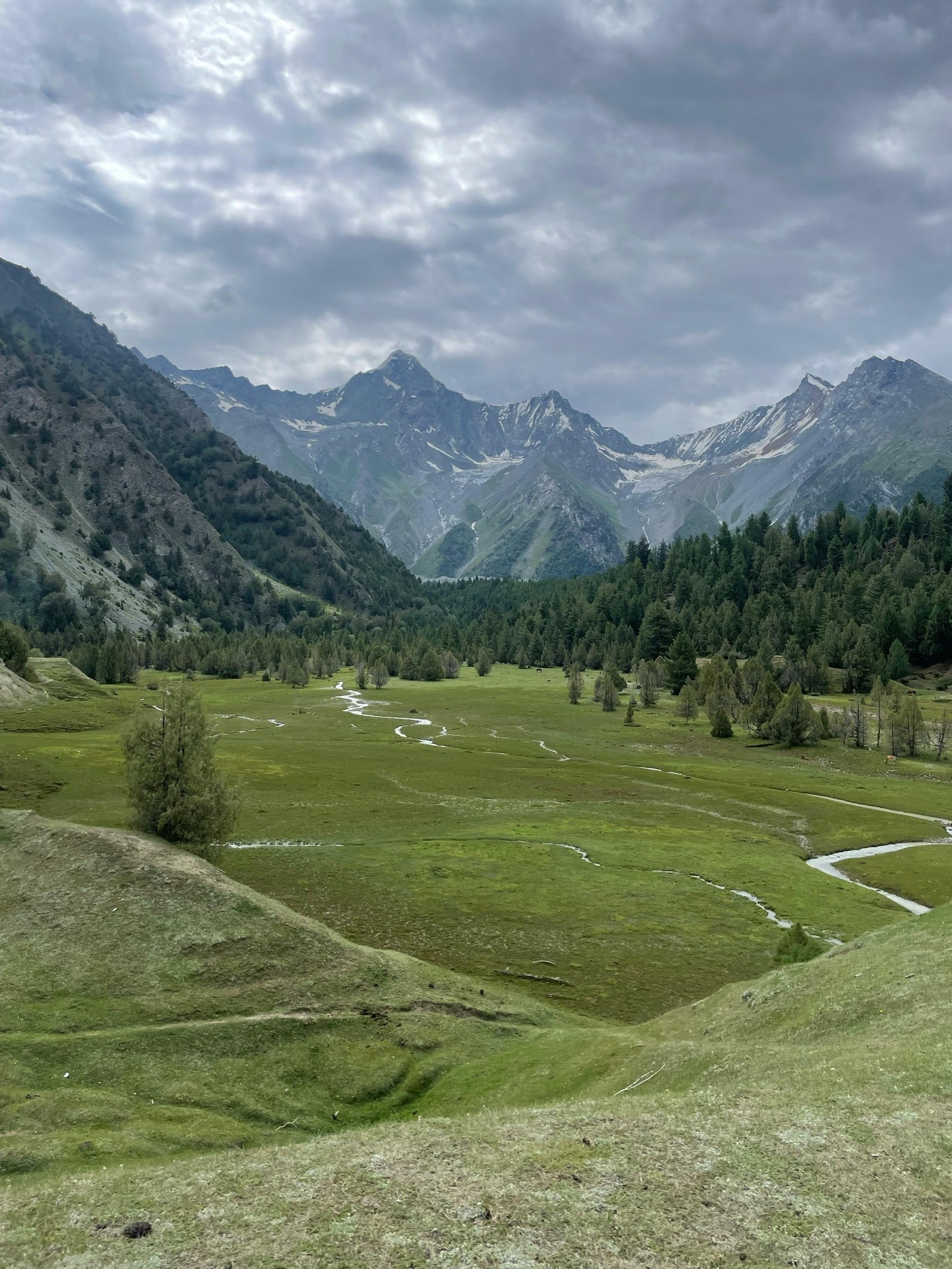tapety mountain, grassland