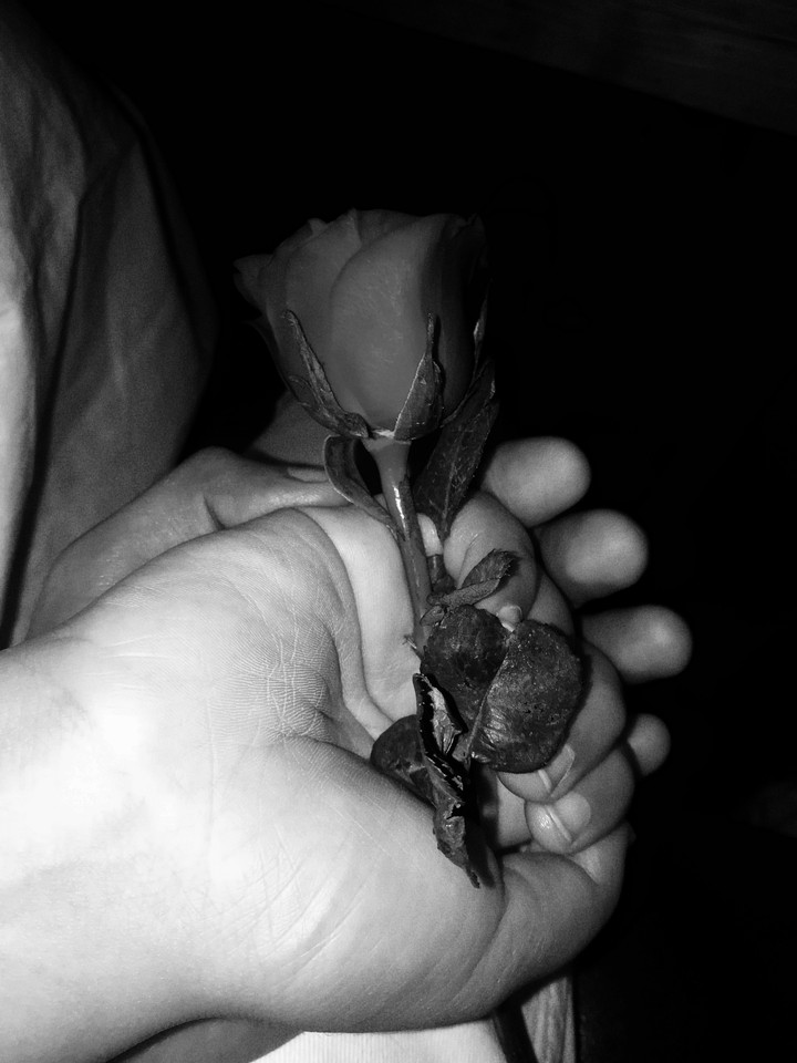 Love care hands