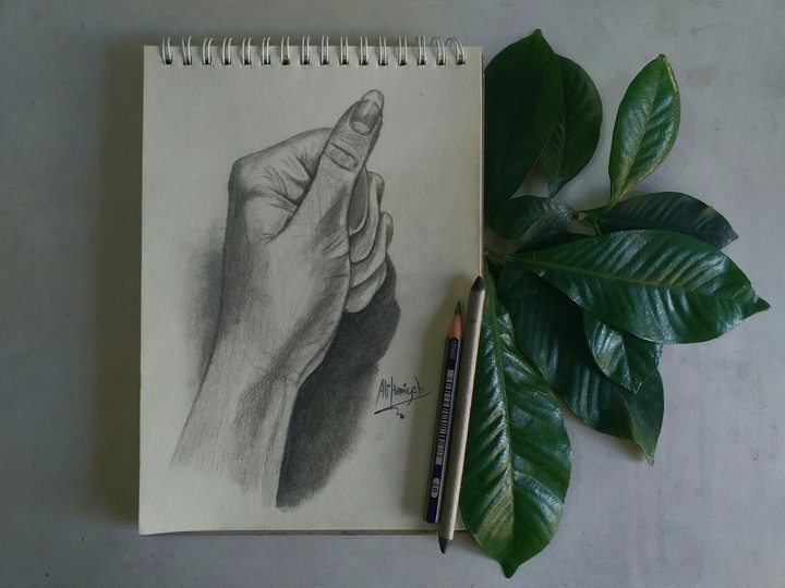 pencil drawing
