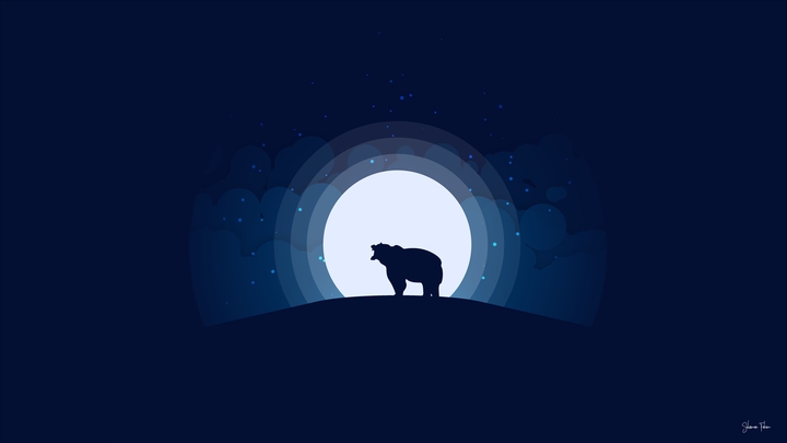 Full Moon Night