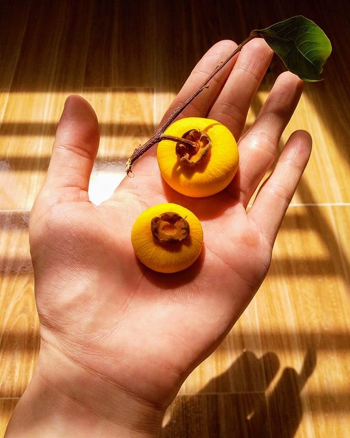 Quả Thị