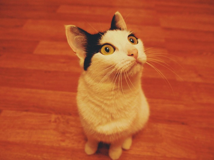 "what?! "