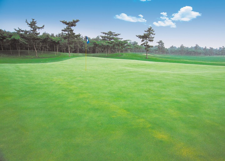 골프장전경