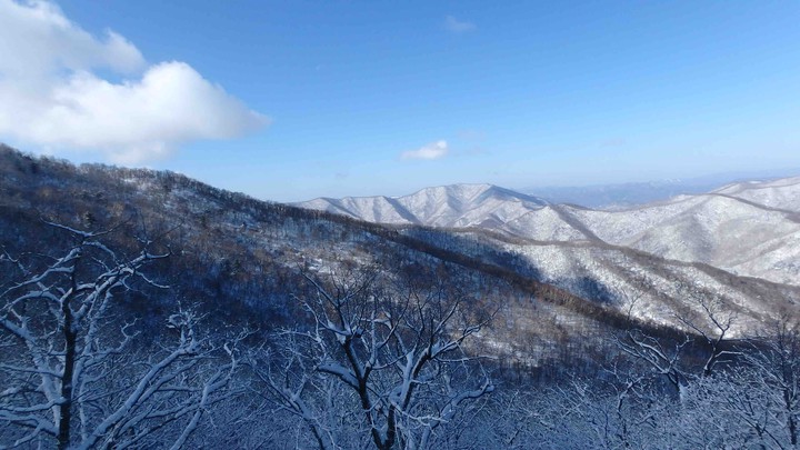 눈내린 산