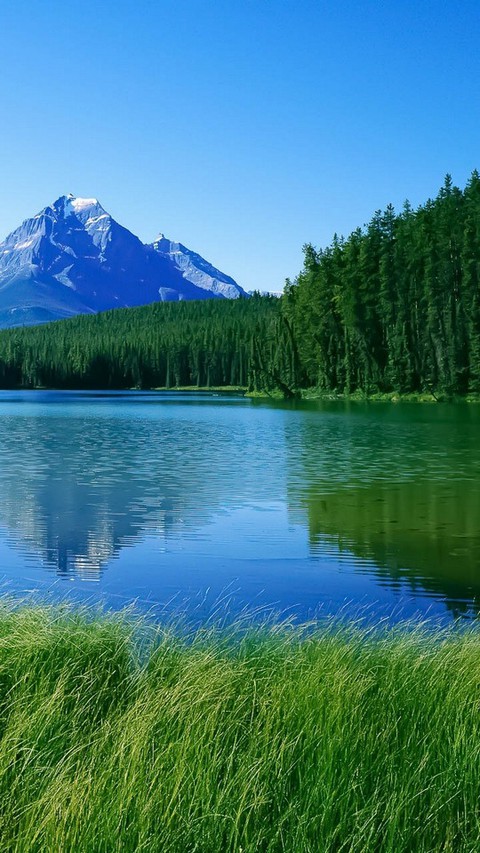 lake, nature wallpapers