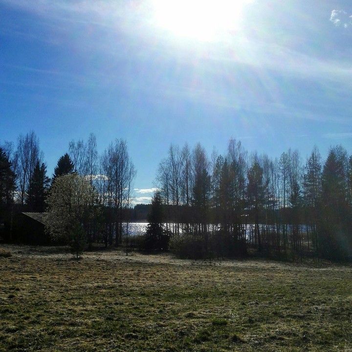 Perfect weather