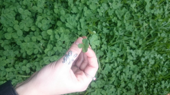 luckyshit