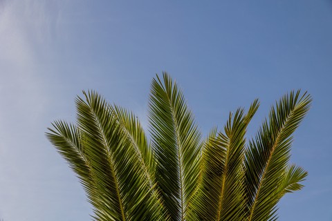 sfondi daytime, blue