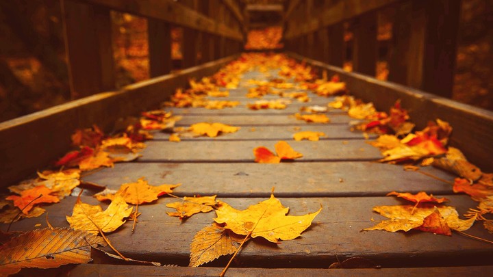 fall